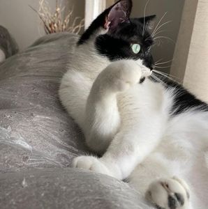 Meet your Posher, Carol